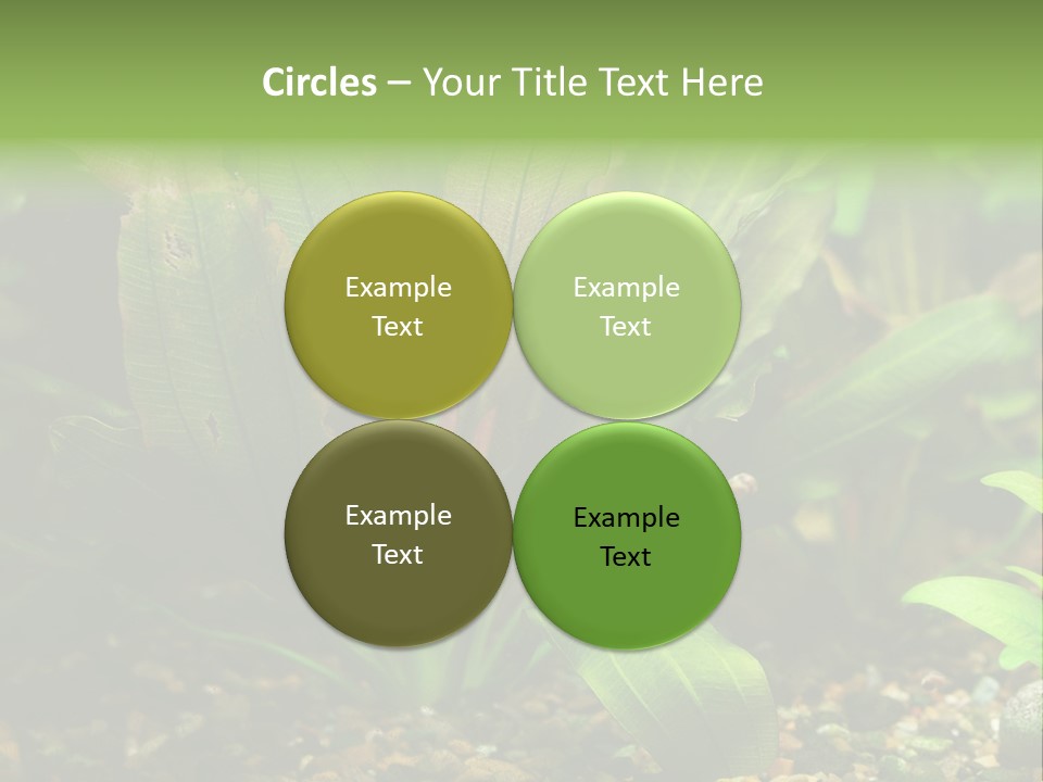 Nature Bearer Landscape PowerPoint Template