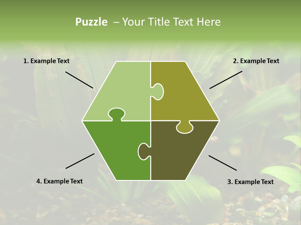 Nature Bearer Landscape PowerPoint Template