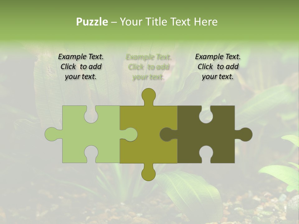 Nature Bearer Landscape PowerPoint Template