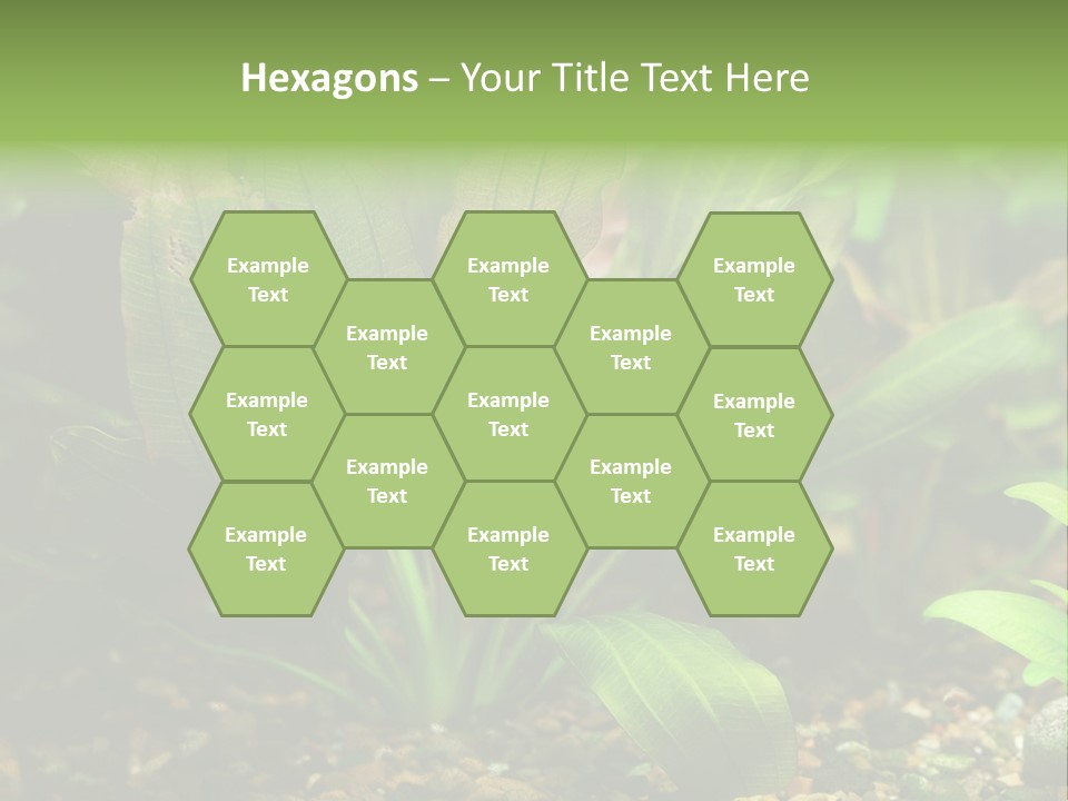 Nature Bearer Landscape PowerPoint Template