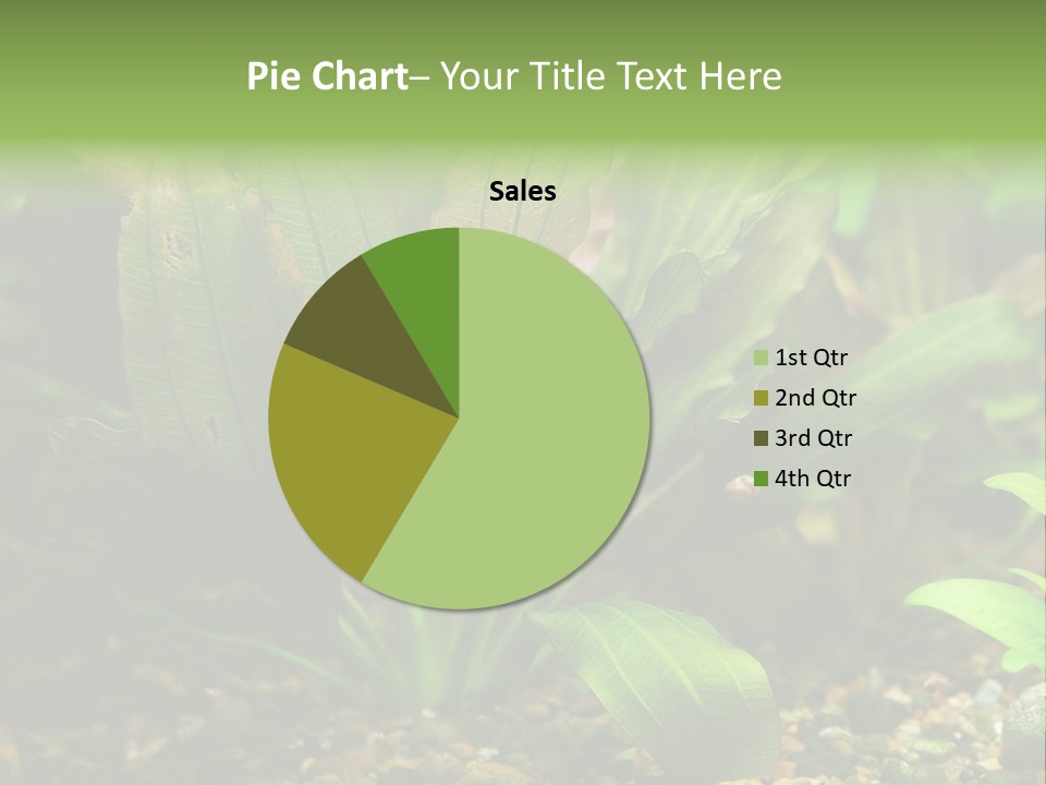 Nature Bearer Landscape PowerPoint Template