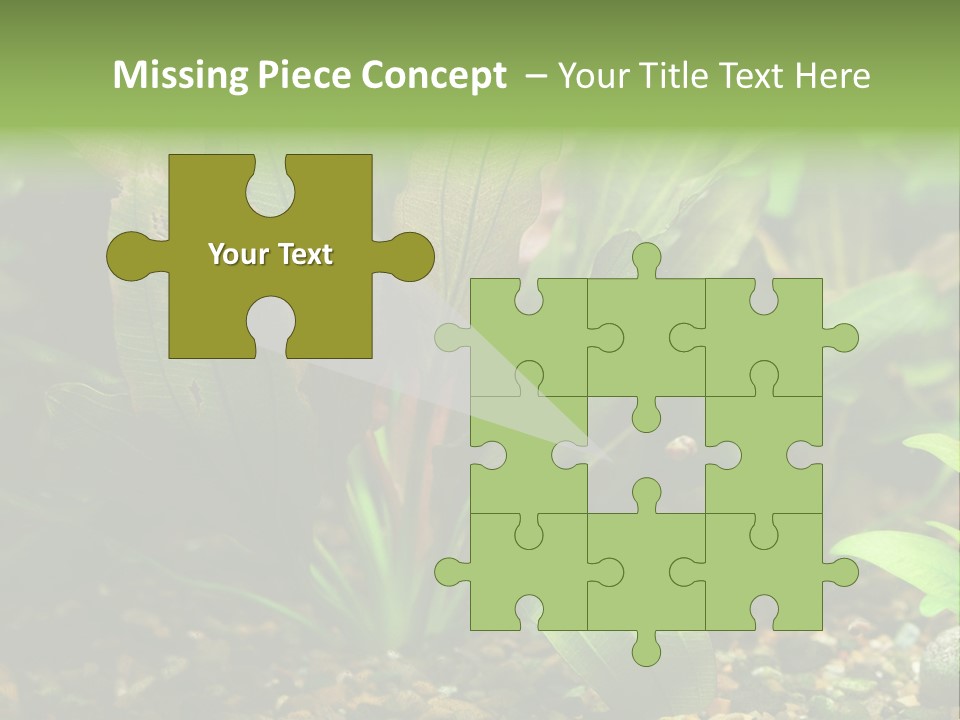 Nature Bearer Landscape PowerPoint Template