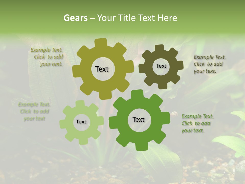 Nature Bearer Landscape PowerPoint Template