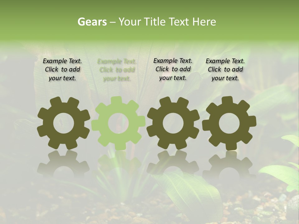 Nature Bearer Landscape PowerPoint Template