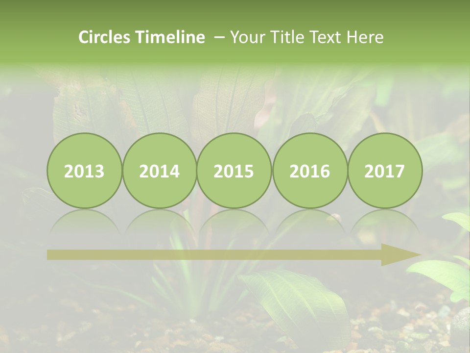 Nature Bearer Landscape PowerPoint Template