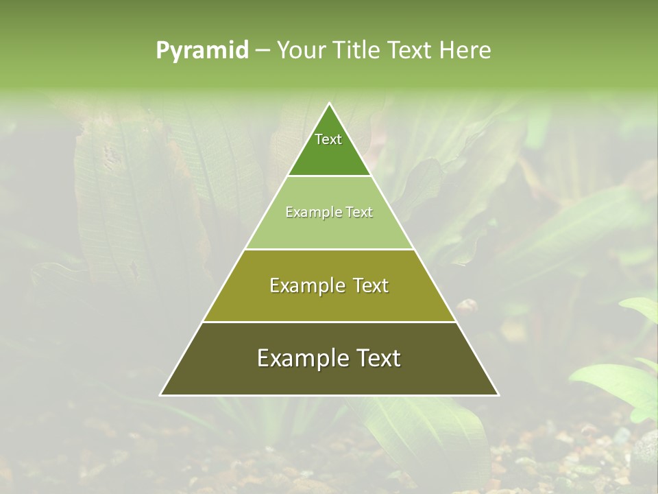 Nature Bearer Landscape PowerPoint Template