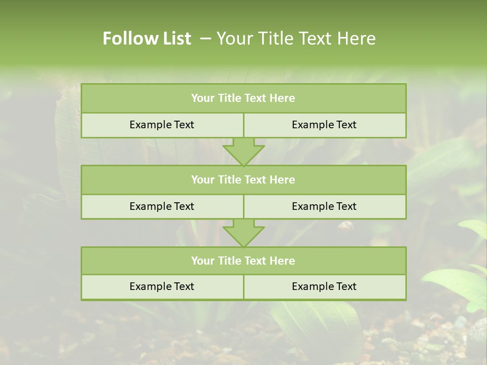 Nature Bearer Landscape PowerPoint Template