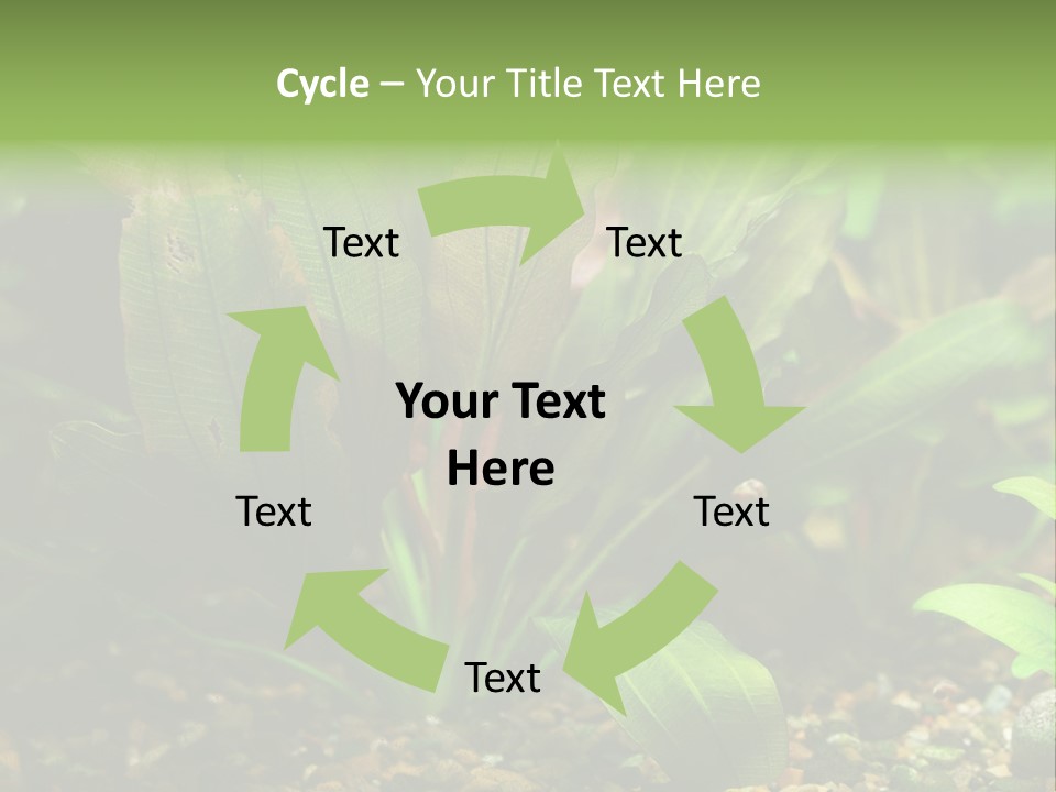 Nature Bearer Landscape PowerPoint Template