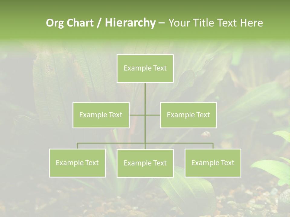 Nature Bearer Landscape PowerPoint Template