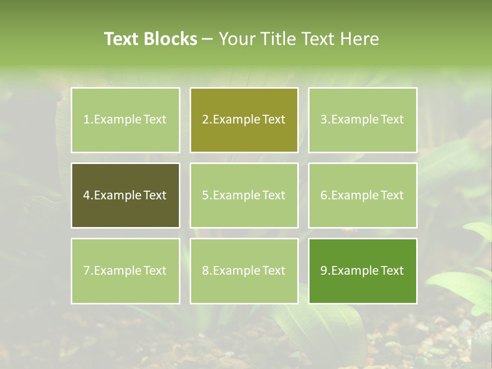 Nature Bearer Landscape PowerPoint Template