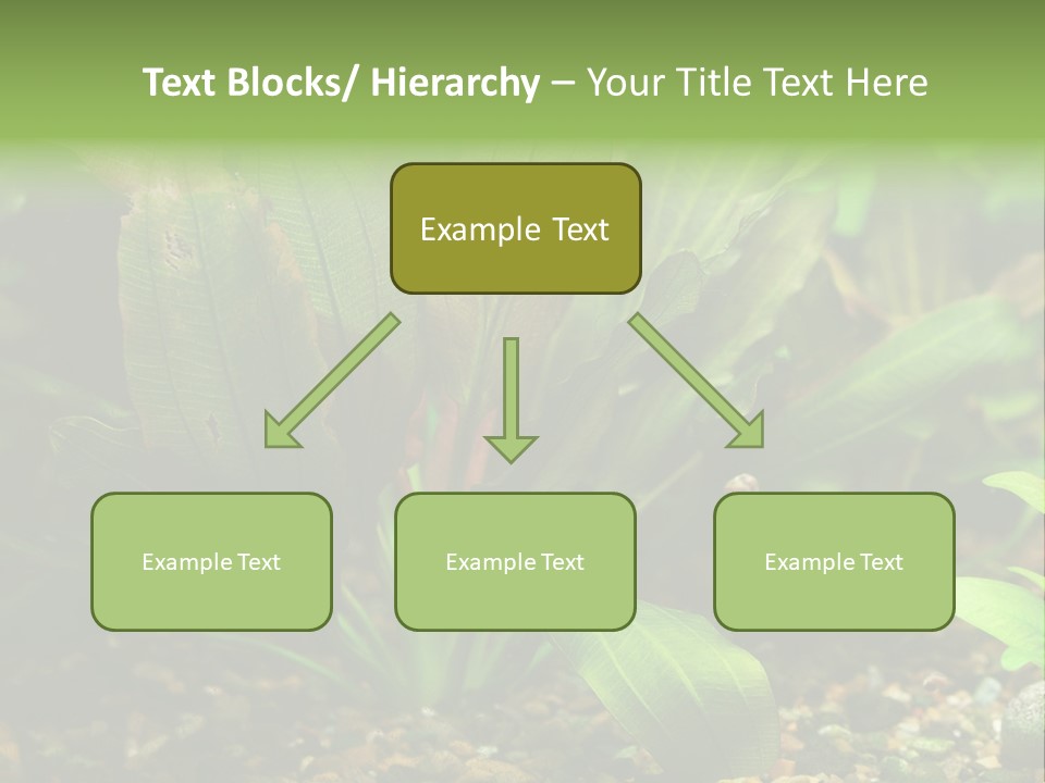 Nature Bearer Landscape PowerPoint Template