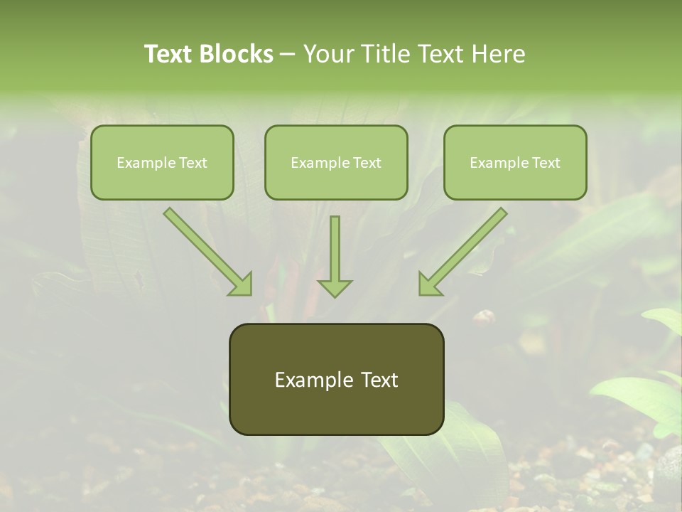 Nature Bearer Landscape PowerPoint Template