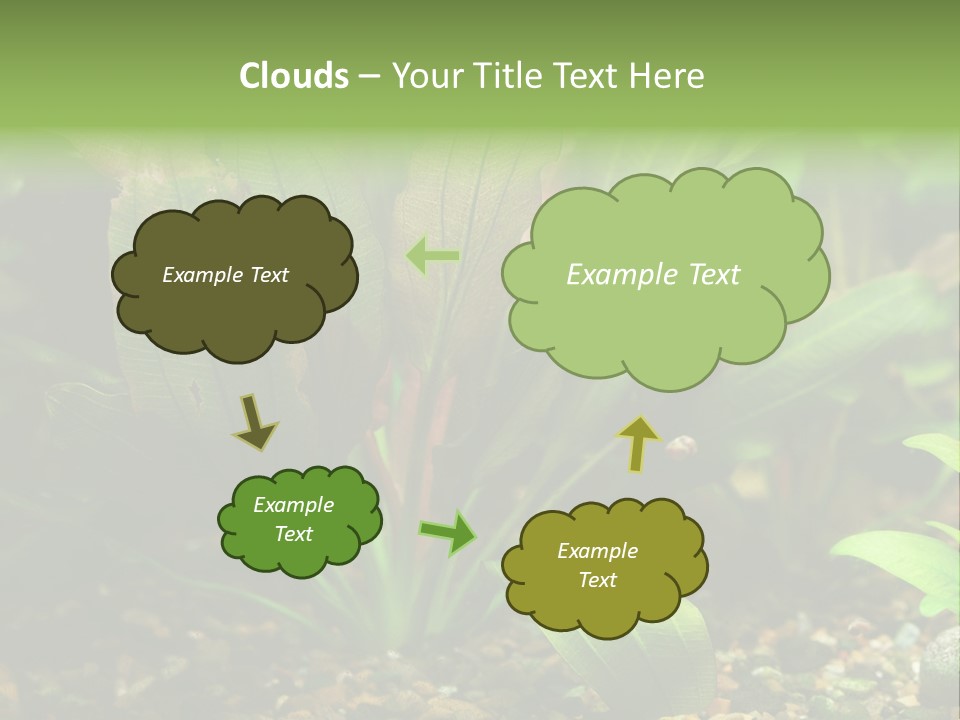 Nature Bearer Landscape PowerPoint Template