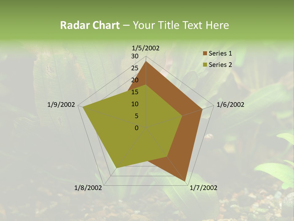 Nature Bearer Landscape PowerPoint Template