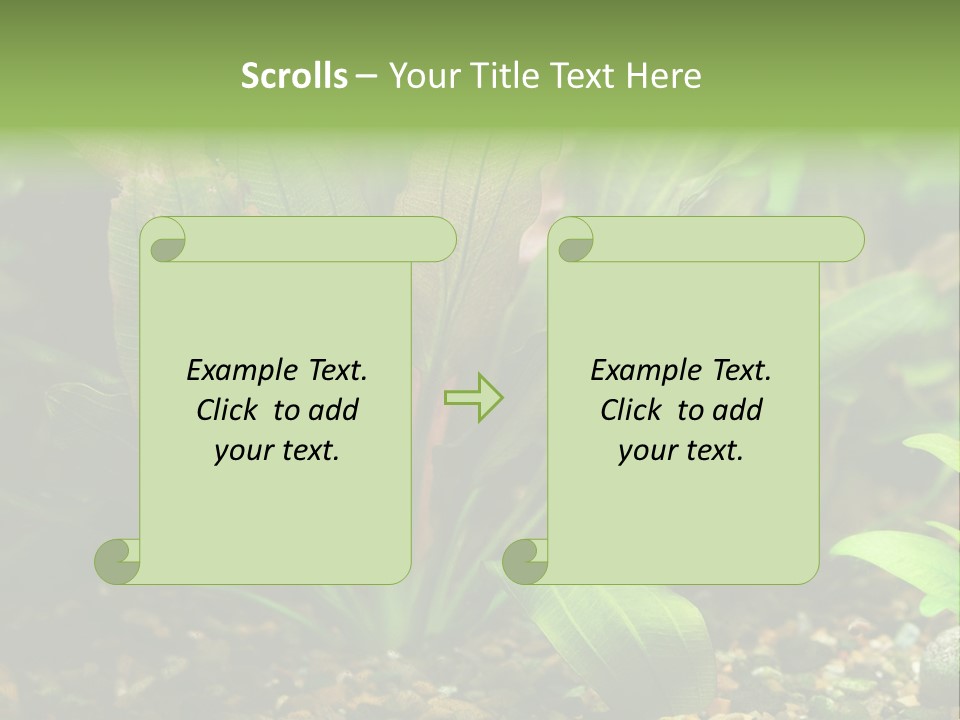 Nature Bearer Landscape PowerPoint Template