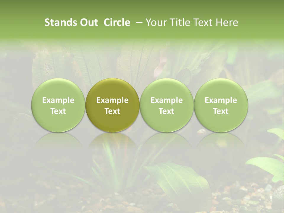 Nature Bearer Landscape PowerPoint Template