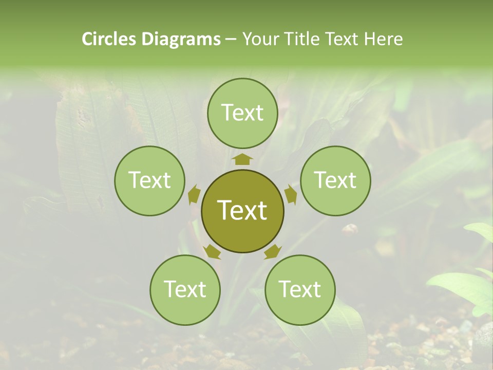 Nature Bearer Landscape PowerPoint Template