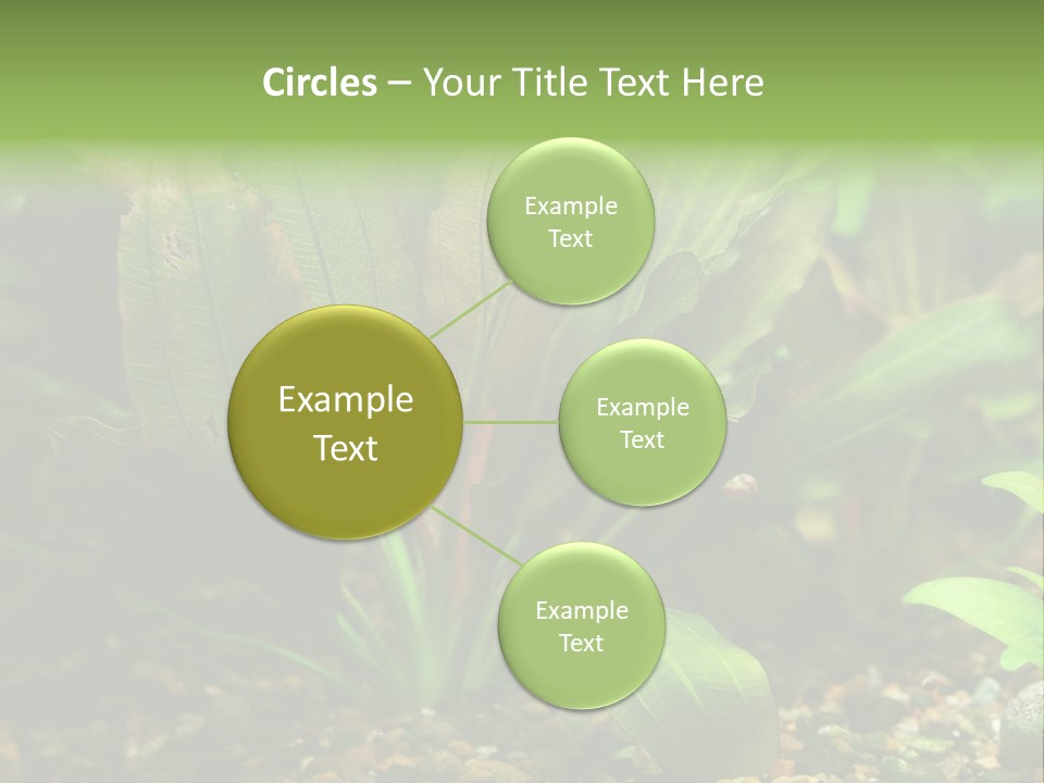 Nature Bearer Landscape PowerPoint Template