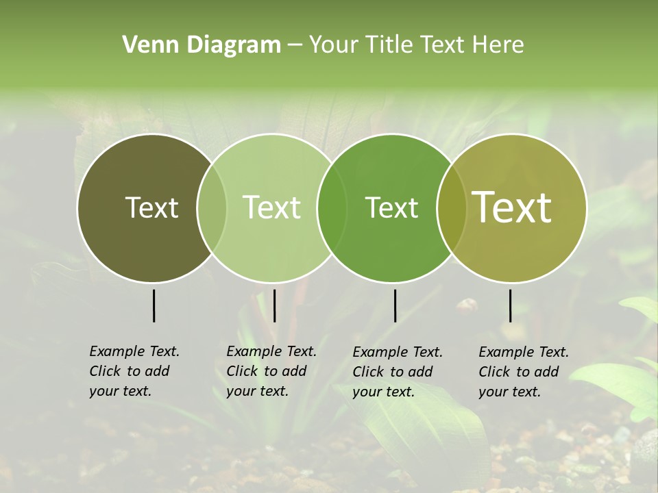 Nature Bearer Landscape PowerPoint Template