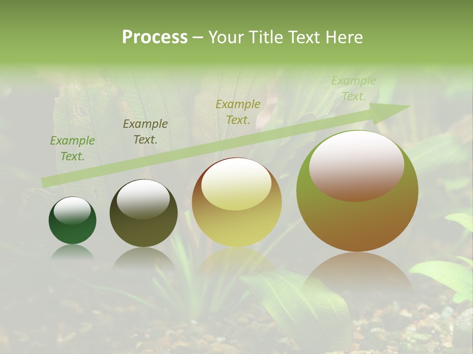 Nature Bearer Landscape PowerPoint Template