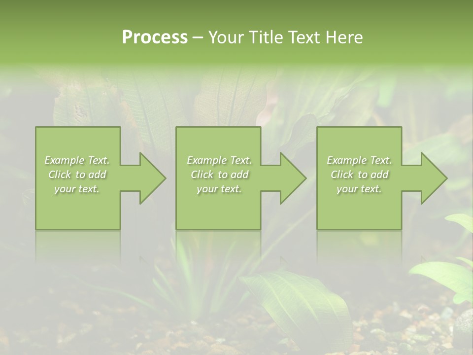 Nature Bearer Landscape PowerPoint Template