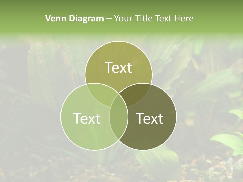 Nature Bearer Landscape PowerPoint Template