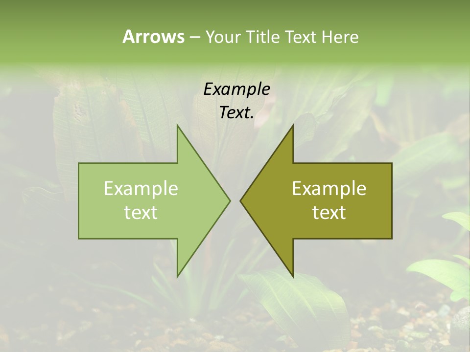 Nature Bearer Landscape PowerPoint Template