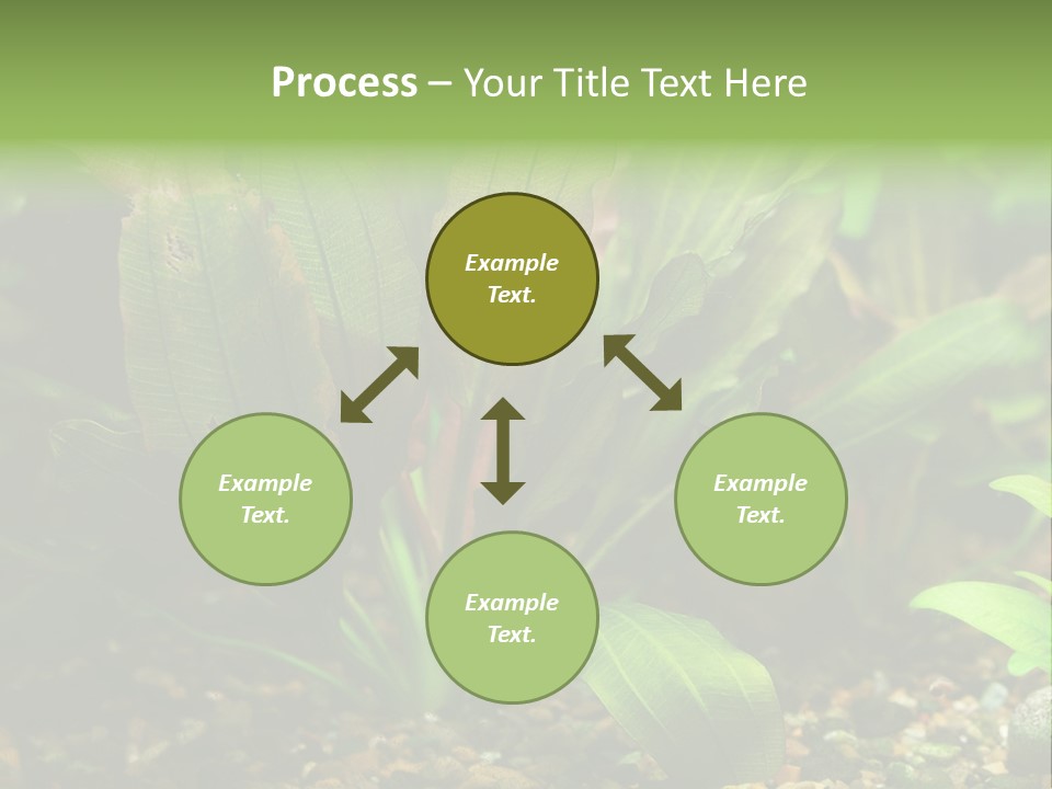 Nature Bearer Landscape PowerPoint Template