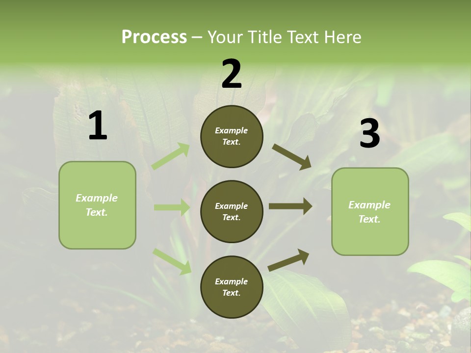 Nature Bearer Landscape PowerPoint Template
