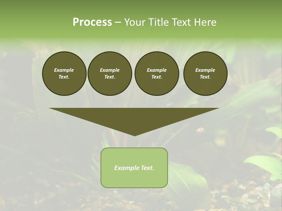 Nature Bearer Landscape PowerPoint Template