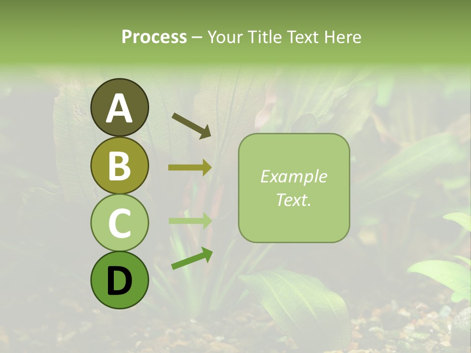 Nature Bearer Landscape PowerPoint Template