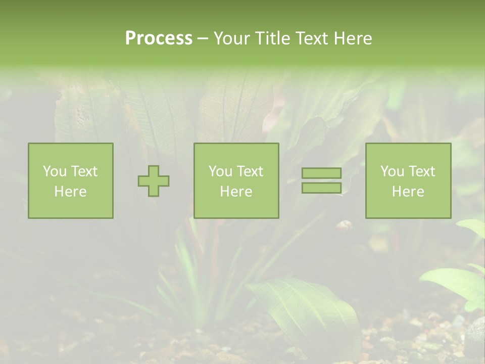 Nature Bearer Landscape PowerPoint Template