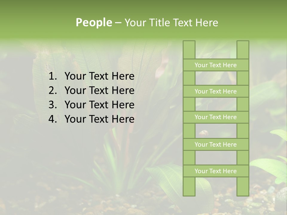 Nature Bearer Landscape PowerPoint Template