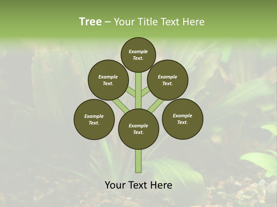 Nature Bearer Landscape PowerPoint Template