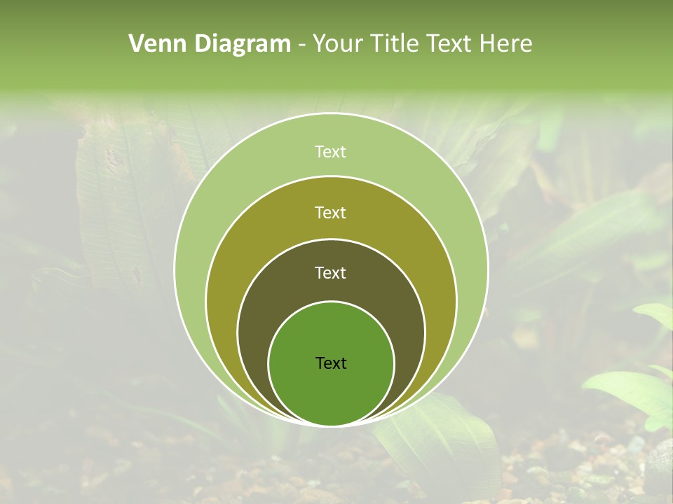 Nature Bearer Landscape PowerPoint Template