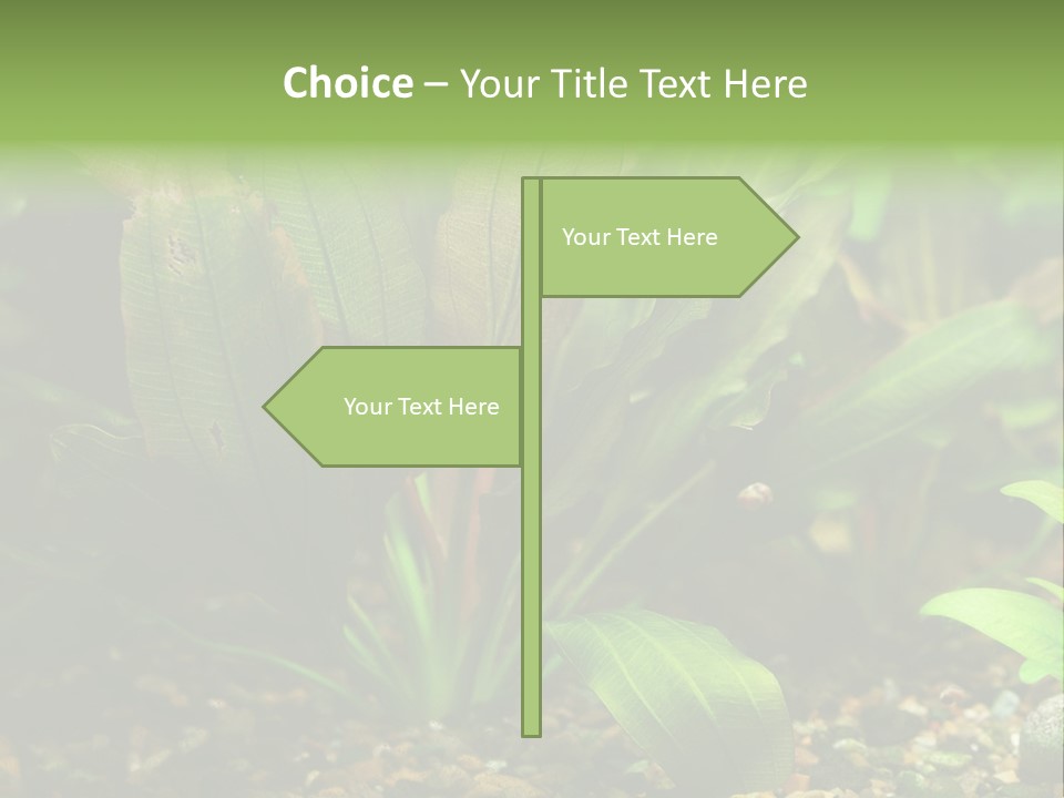 Nature Bearer Landscape PowerPoint Template