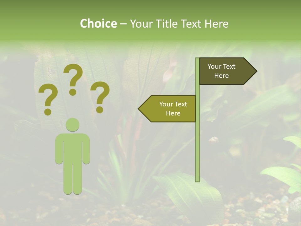 Nature Bearer Landscape PowerPoint Template