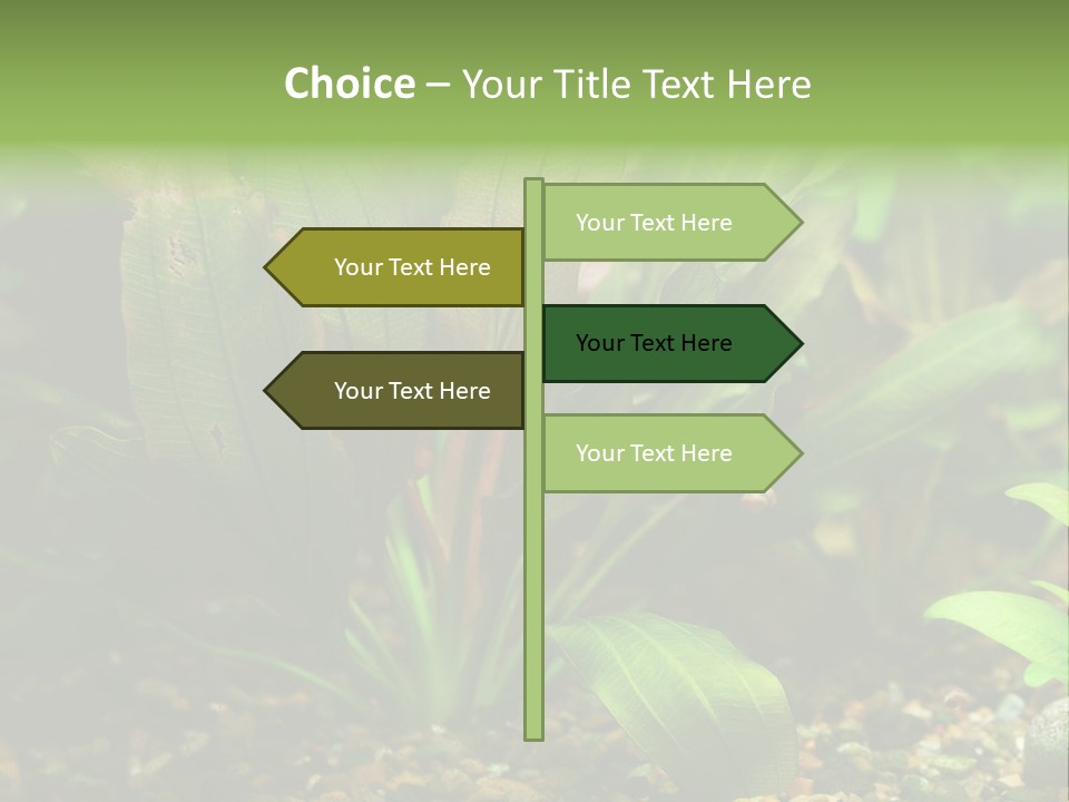 Nature Bearer Landscape PowerPoint Template