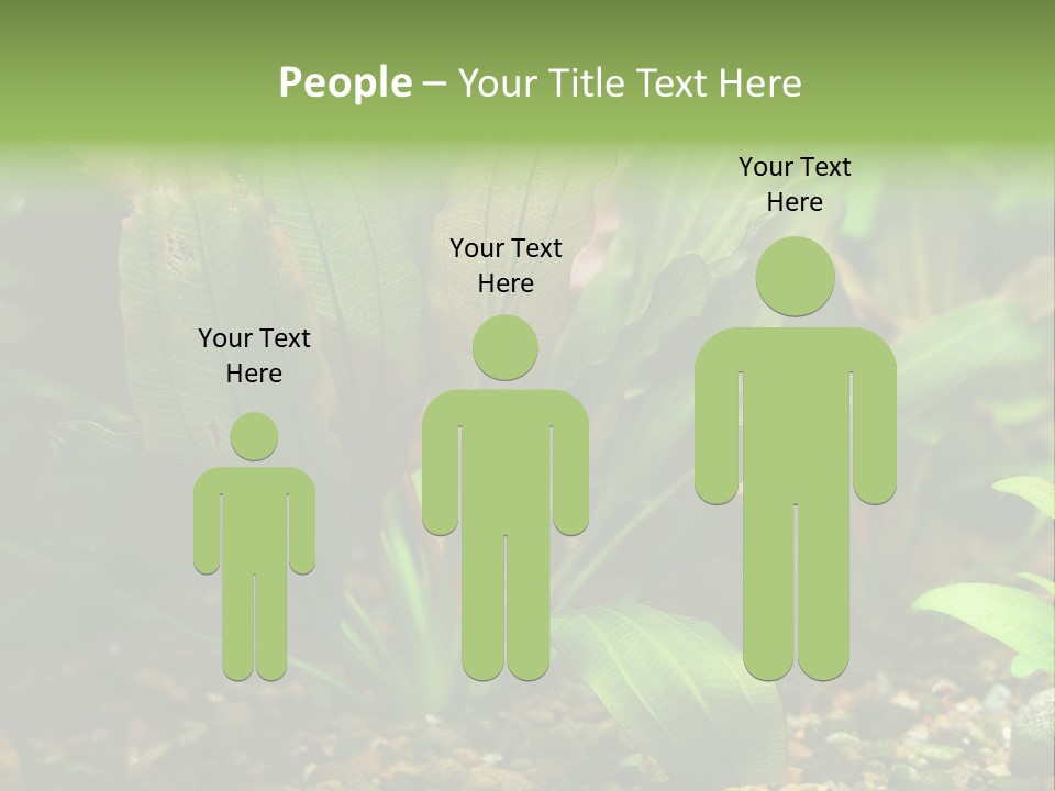 Nature Bearer Landscape PowerPoint Template