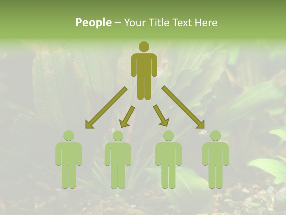 Nature Bearer Landscape PowerPoint Template