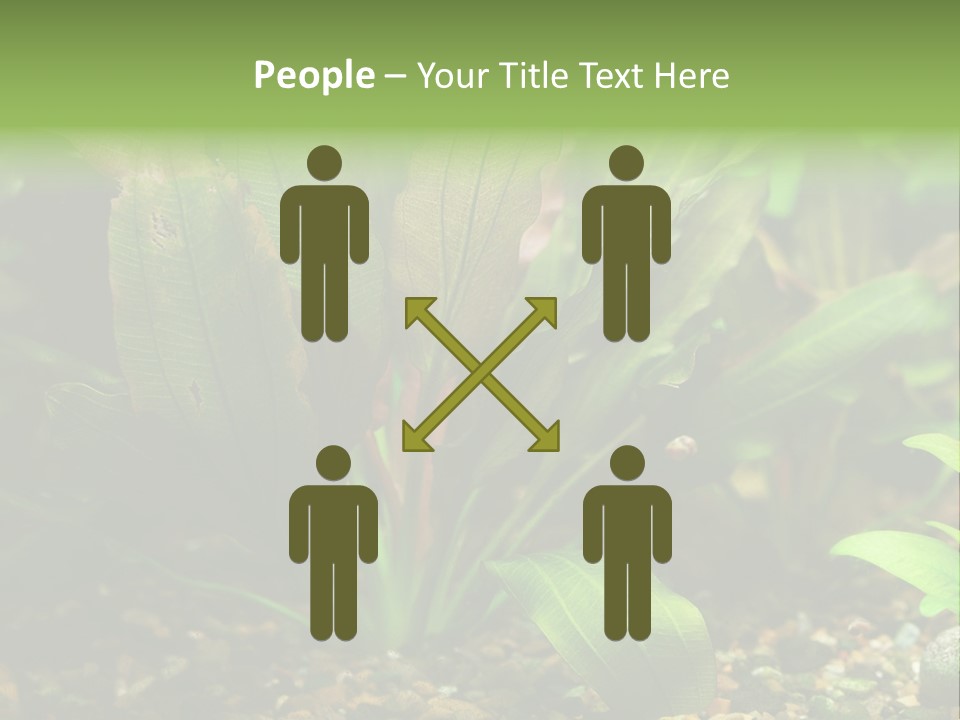 Nature Bearer Landscape PowerPoint Template