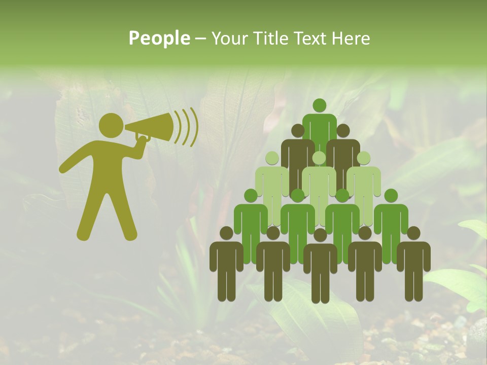 Nature Bearer Landscape PowerPoint Template