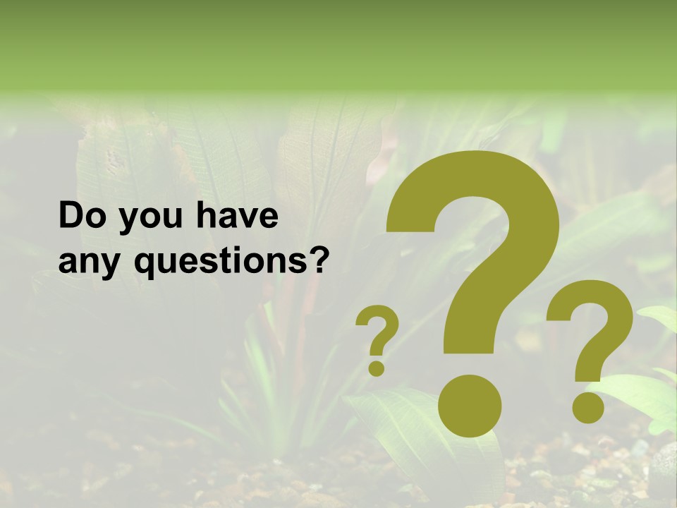 Nature Bearer Landscape PowerPoint Template