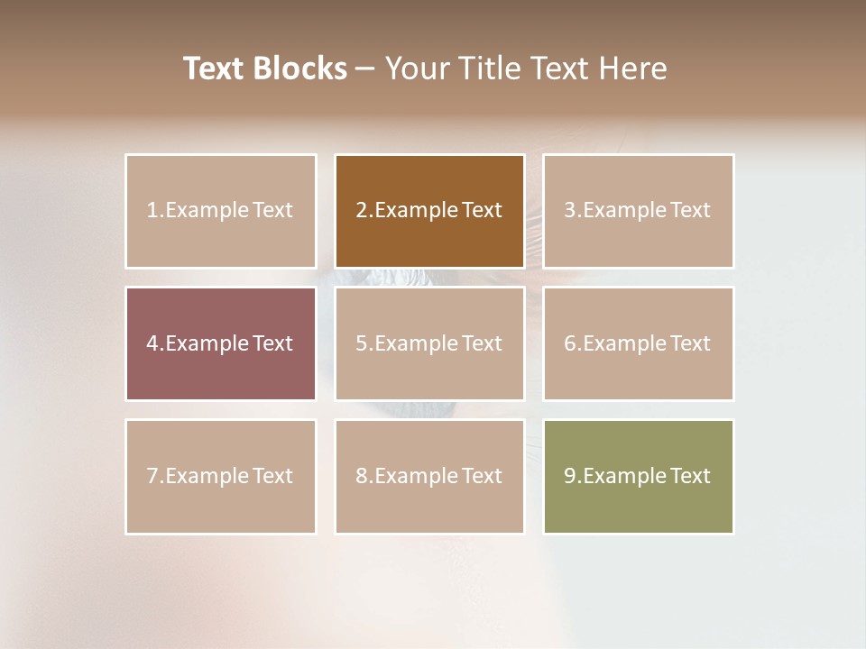 Caucasian Cute Small PowerPoint Template