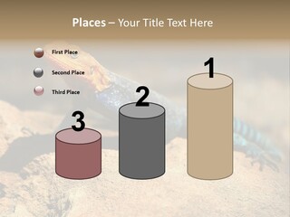 Wildlife Africa Natural PowerPoint Template