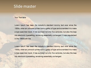 Wildlife Africa Natural PowerPoint Template