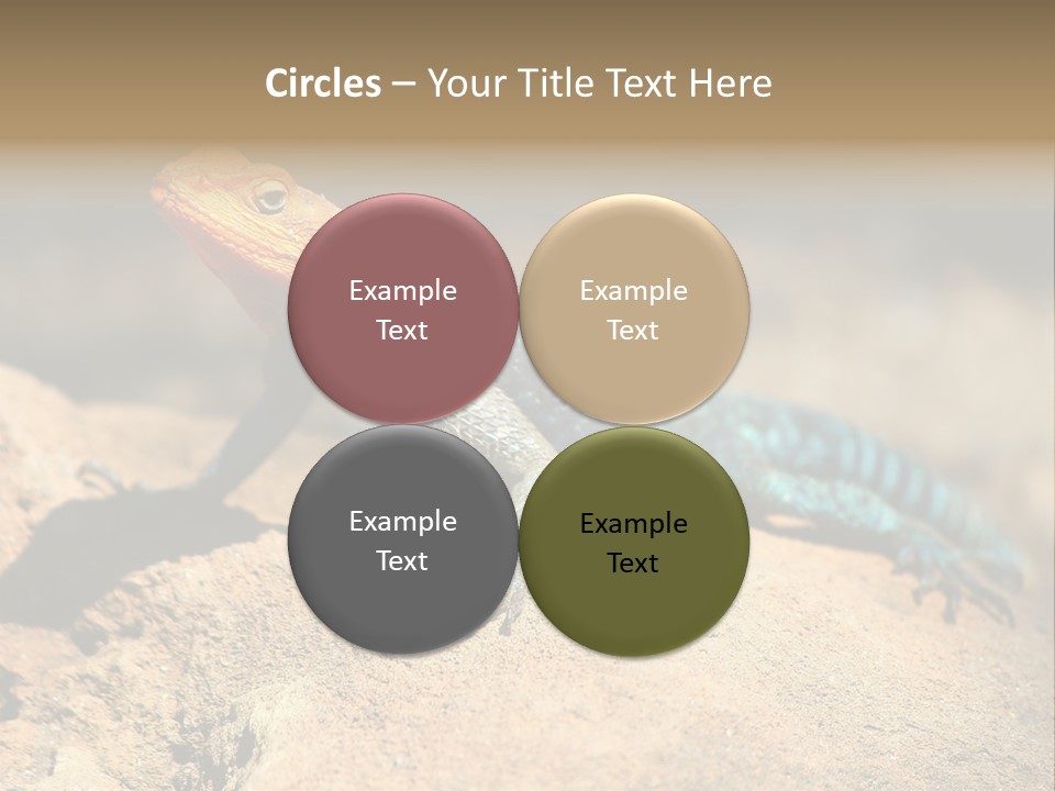 Wildlife Africa Natural PowerPoint Template