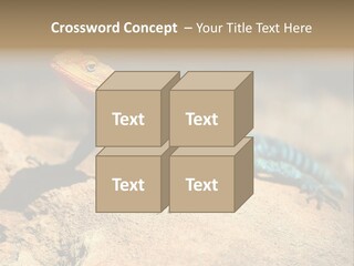 Wildlife Africa Natural PowerPoint Template