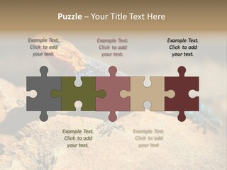 Wildlife Africa Natural PowerPoint Template