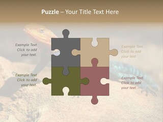 Wildlife Africa Natural PowerPoint Template